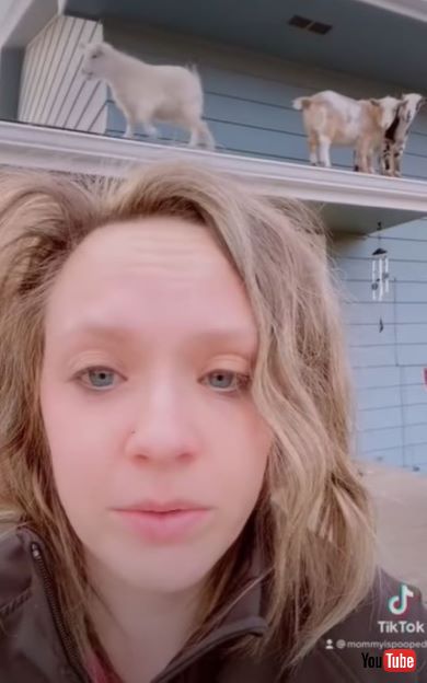 ママが子供たちに起こされたワケ