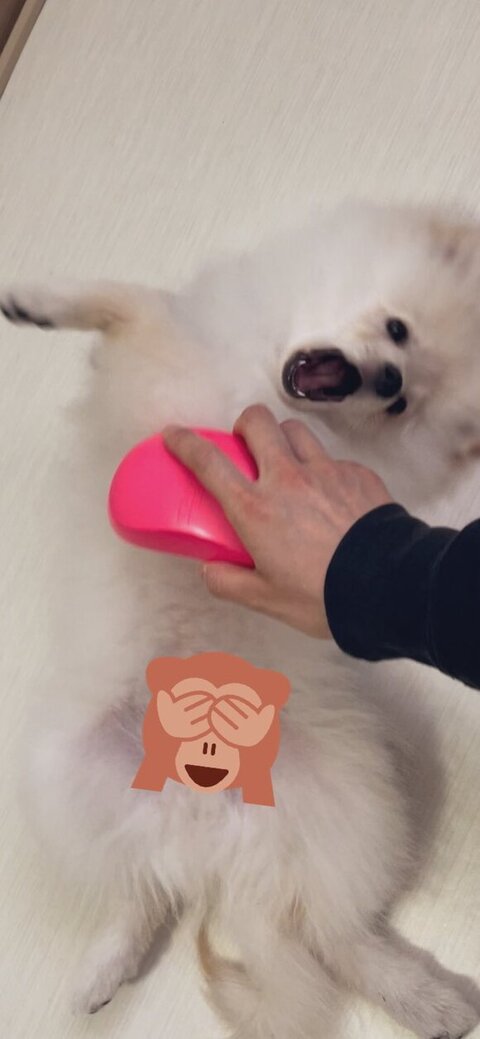 いやがるルアンくん