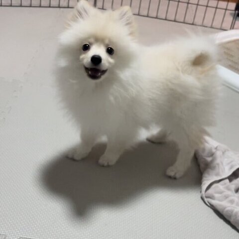 笑顔のルアンくん