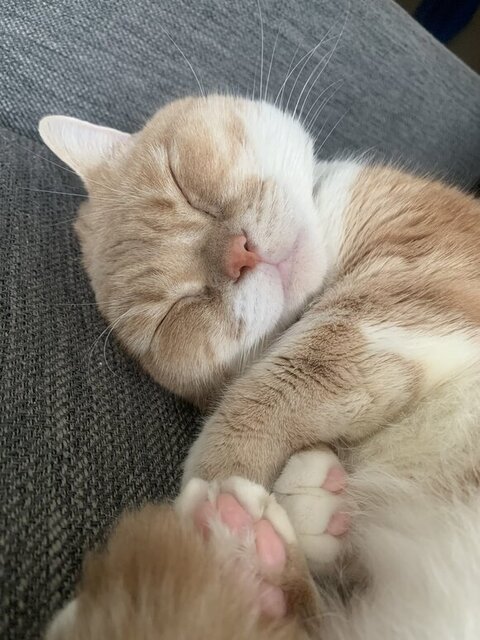 寝てるタケくん