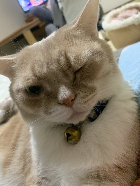 ウインクしてるタケくん