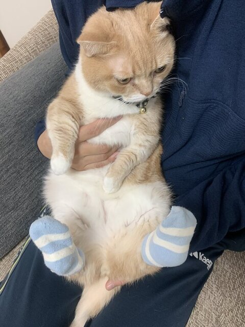 靴下を履いたタケくん