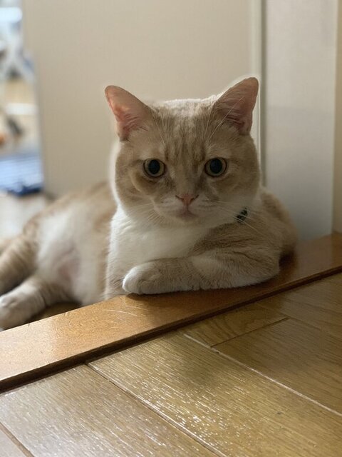 肘をついてるタケくん