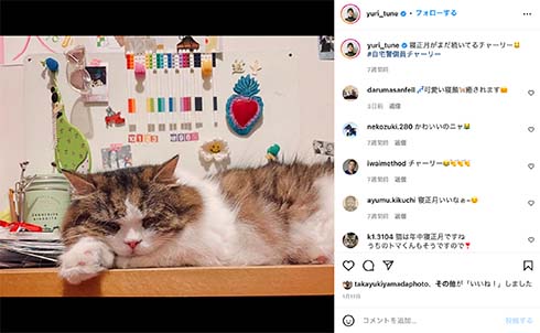 恒松祐里と愛猫・チャーリー