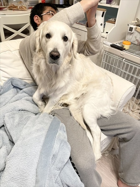 自分を小型犬だと思っているワンちゃん