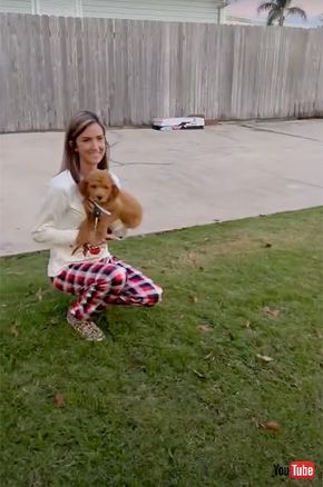 海外 サプライズ動画 男の子 boy プレゼント クリスマス 子犬 感涙