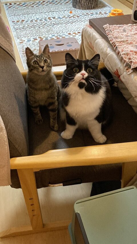 驚いてるふたり