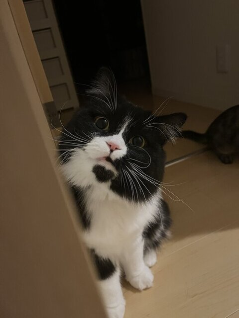 笑ってるようなバルバくん