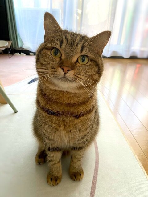 ベンチにいる兄弟