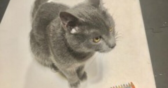色鉛筆画A4 猫クリスマス10 hqdefault.jpg
