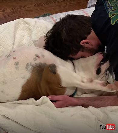 ボロボロだった野良犬が健康な姿に大変身