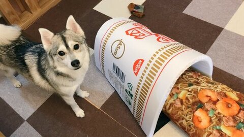 カップヌードルの隣に立ったルチ子ちゃん