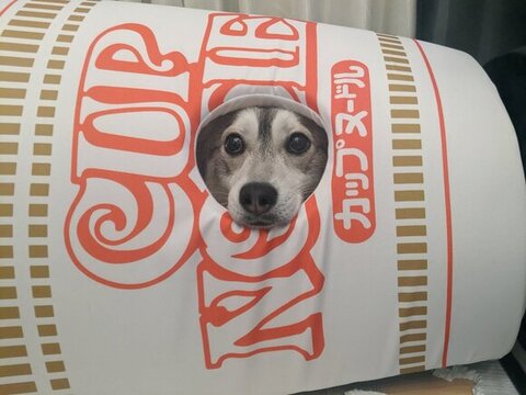 穴から顔出したルチ子ちゃん