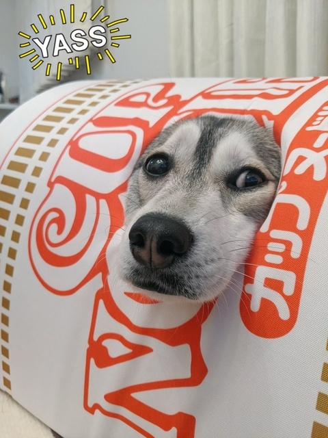 必死に顔を出すルチ子ちゃん