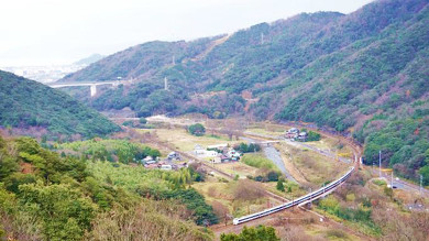 敦賀の駅弁 鯛の舞