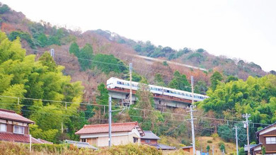 敦賀の駅弁 鯛の舞