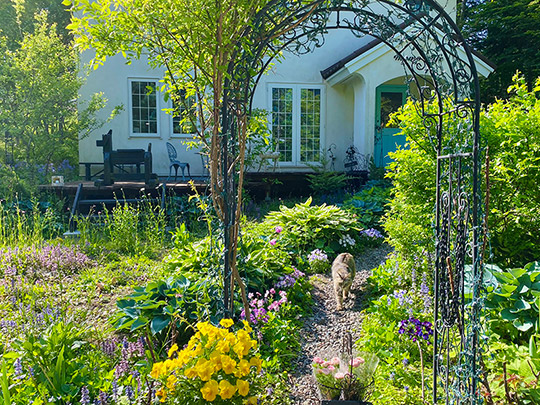 ももとみらいさん