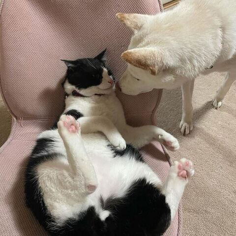 鼻チューするふたり