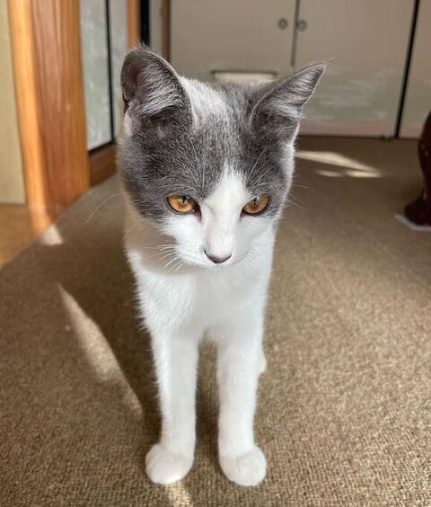 柚ちゃんピン写真