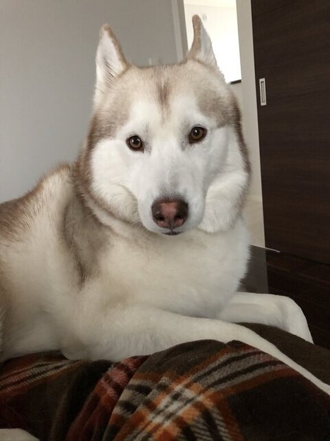 ヴィヴィアンくん正面