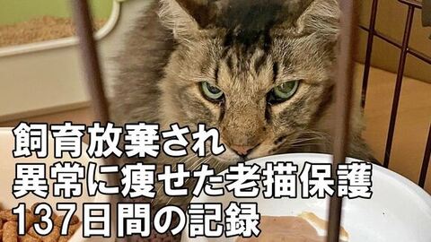 サムネ