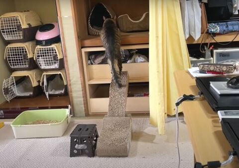 スロープをのぼるしょうちゃん