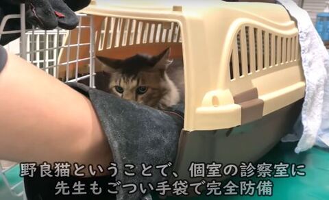 病院しょうちゃん