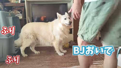 名前を呼ばれてハウスから出るも