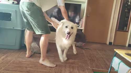 お風呂で洗ってスッキリ