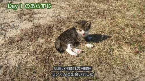 おすすめ