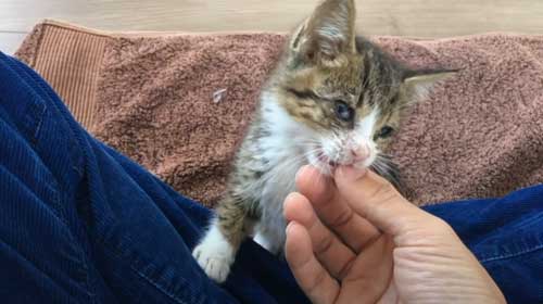 少しずつ元気に