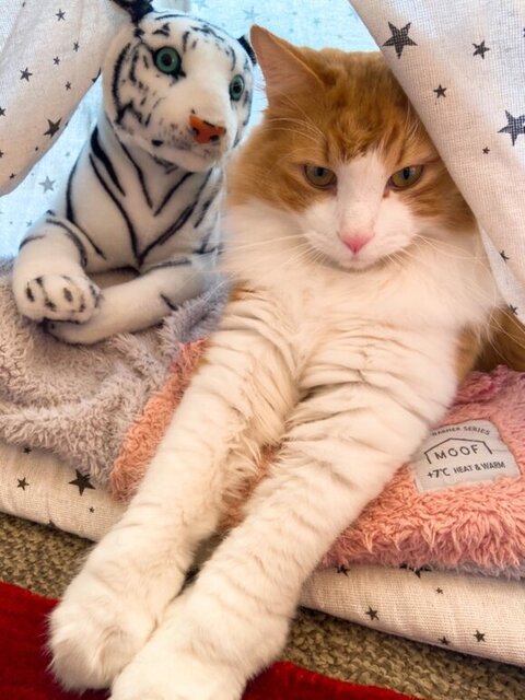 トラさんとツーショット