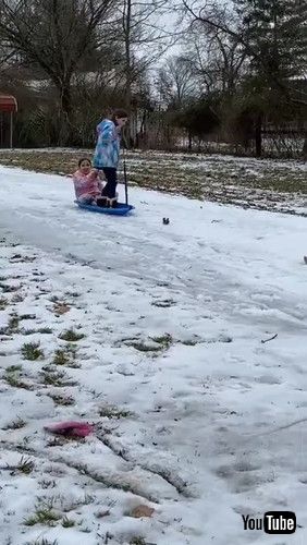 「Milo the Black Lab Pulls Girls on Sled || ViralHog」