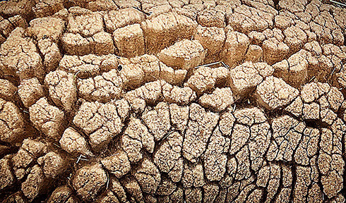 荒れ果てた土地だ…と思ったらもふもふな頭が　ひつじの背中が荒野に見えるライフハックがおもしろい