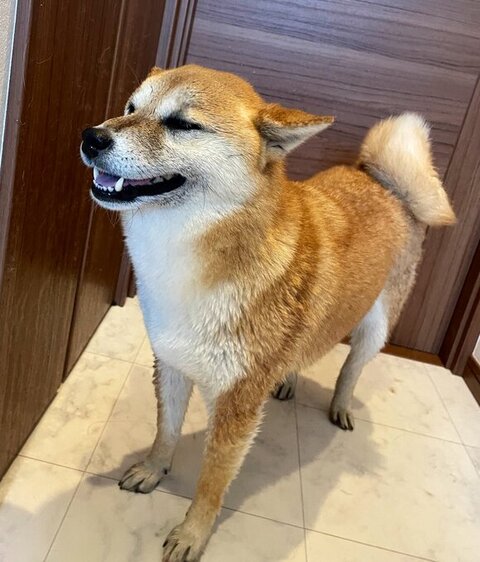 歯を見せて笑うすずちゃん