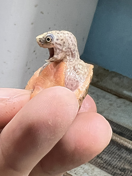 左を向いてわーってお顔