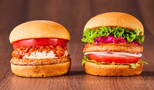 フレッシュネスバーガー SOY 大豆 パティ 変更 無料