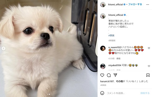 hitomiの愛犬