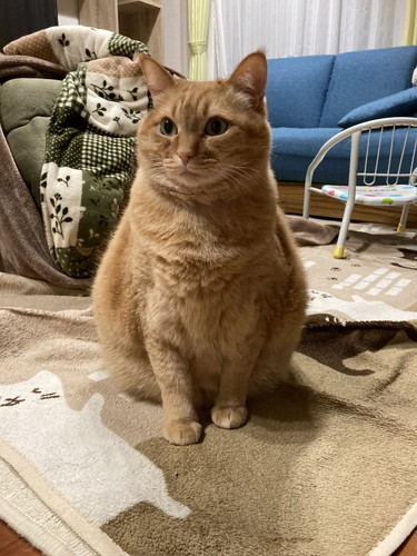 ちょこんと座るすずくん