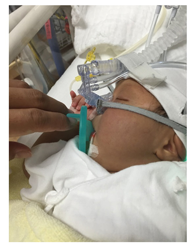 生まれたばかりのラミレス息子