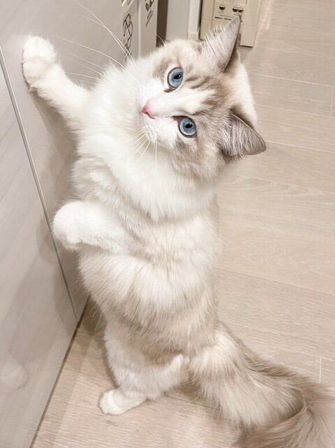 立ってる海くん