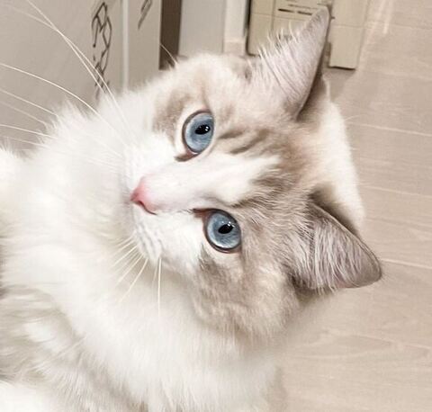 立ってる海くんアップ