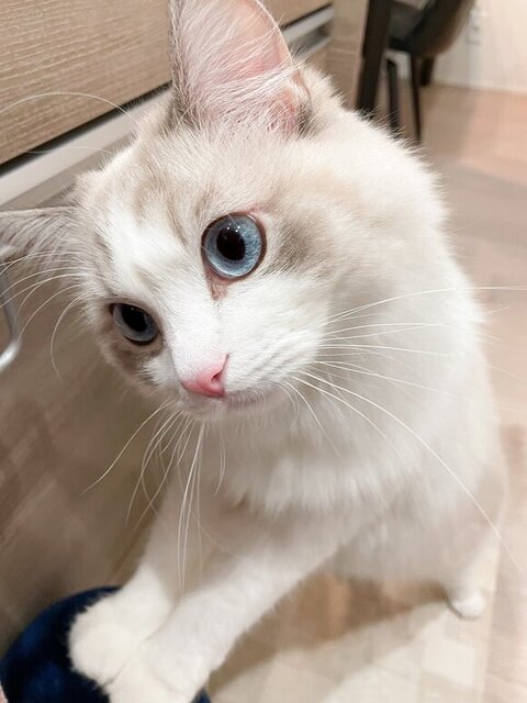 身を乗り出す海くん