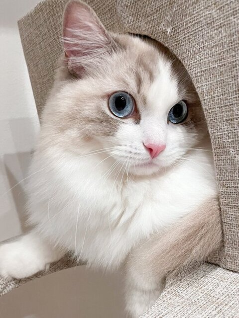 キリっとしてる海くん