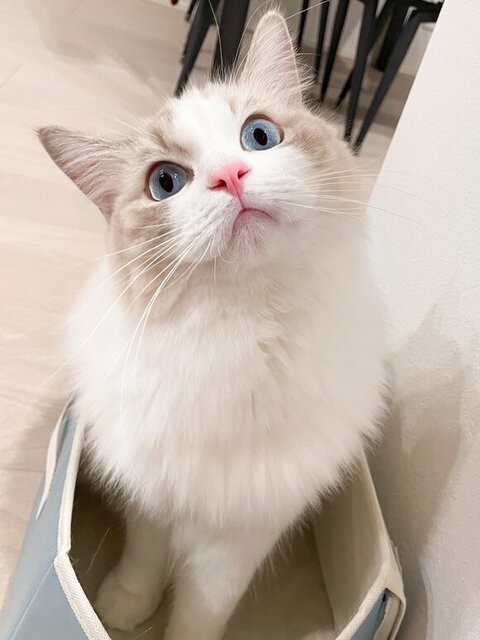 箱に入ってる海くん