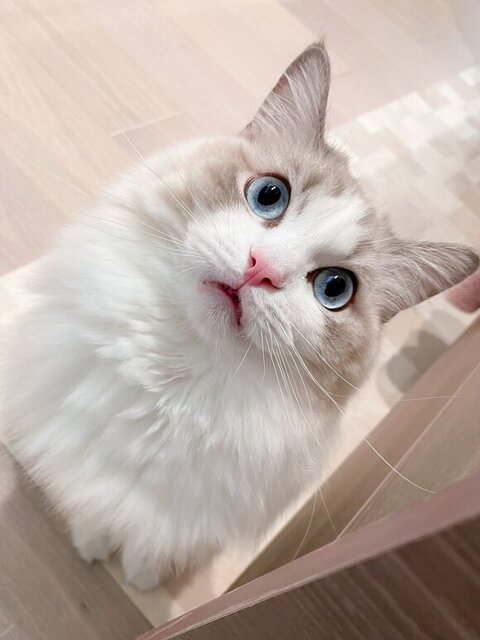 口を開けてる海くん