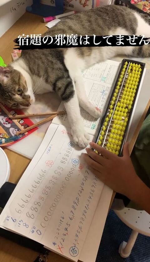 おもちちゃん全体