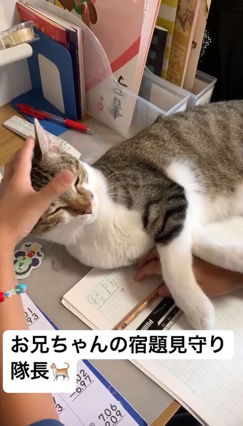 目を細めてるおもちちゃん