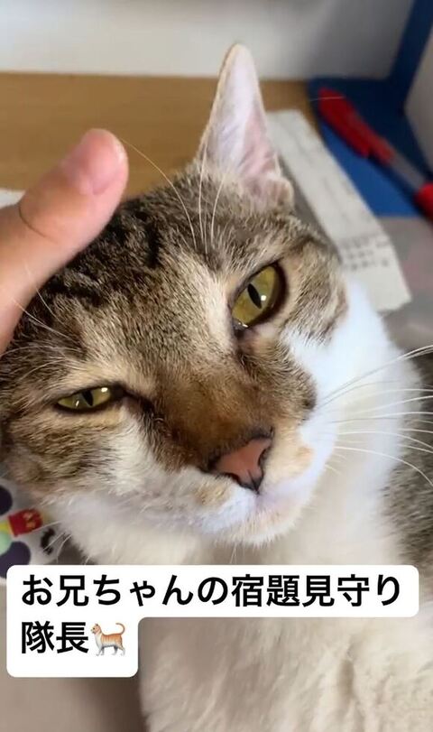 おもちちゃんアップ