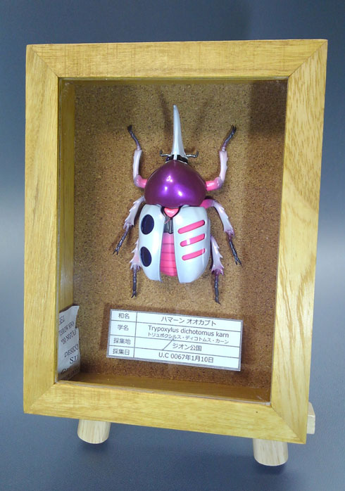 ハマーンオオカブト